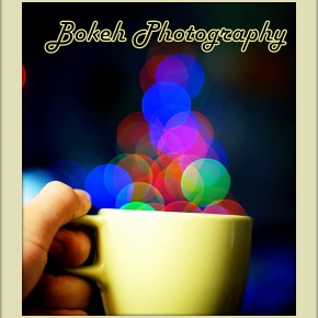 6.~Type 5: Bokeh photography